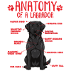 Black Labrador Anatomy Shirt