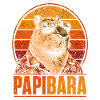 Papibara: Hamster in retro sunset