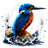 Low-Poly-Eisvögel-Design