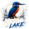 King Of The Lake Kingfisher Design
