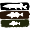 Pike Zander Perch