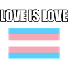 LOVE IS LOVE Trans Pride Flag