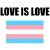 Transgender Love Is Love Flag