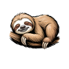 Sloths Sayings Funny Sloths Gift