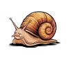 Snail Sayings Funny Snail Gift