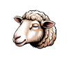 Sheep Sayings Sheep Funny Sheep Gift
