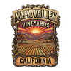 Napa Valley California Vineyard Sunset