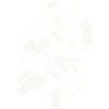 panda_kung_fu-