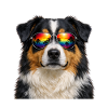 Australian Shepherd Sonnenbrille Aussie