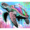 Schildkröte