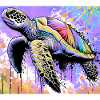 tortue