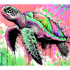 tortue