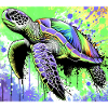 turtle