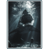 Sharks Shark