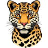 Leopard Leopard Head Gift Cat Lover