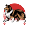 Shetland Sheepdog Sheltie Dog Breed