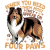 Chien Shetland Sheltie Race