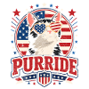 Purrride Patriot Cat Look