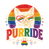 Purride Regenbogenkatze