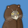 Bear Hooded Cat Portrait