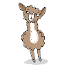 Cheerful naughty llama