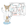 Lama as scientist explains connections