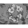 Monochrome flower detail