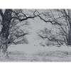 Schwarzweiß Winterszene Wald