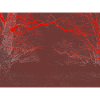 Roter Nebelwald – Abstrakter Wald