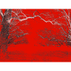 Red Forest Edge Contrast