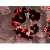 Dark Red Flower Heart