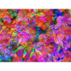 Farbexplosion Blüten-Collage