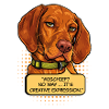 Funny Vizsla Mischief Dog – Creative Expression