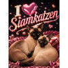 I Love Siamkatzen 