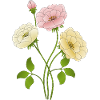 Blumen