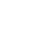 Disciple of Light - calligraphic writing logo 