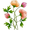 Blumen