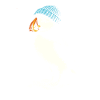 Puffin with cap