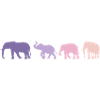 Éléphant Éléphant Rétro