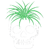 Skull Skull Botany Terrarium Mushrooms Macabre