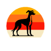 Équipe Greyhound