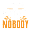 Nobody's perfect I'm nobody