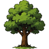 Baum Illustration