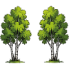 Twin trees in the forest