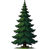 Pine Silhouette Forest Design