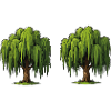 Double Willow Tree Scene