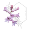 Du bist wunderschön – elegantes rosa Blumendesign