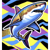 Requin