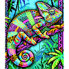 caméléon