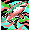 Requin